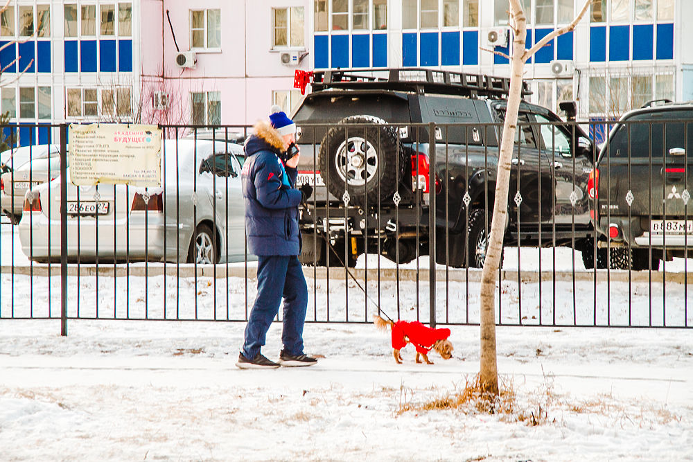 Обратная сторона Хабаровска: микрорайон «Строитель» утопает в собачьих фекалиях