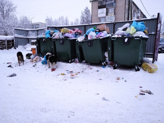 В столице Поморья продолжаются перебои с вывозом мусора
