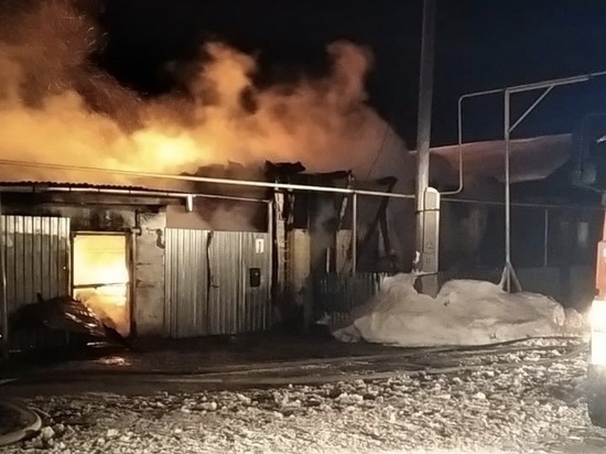 Начаты проверки из-за смертей при пожарах в Курганской области