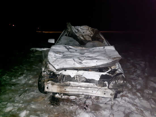 В Туве водитель легковушки погиб в результате столкновения с лошадьми