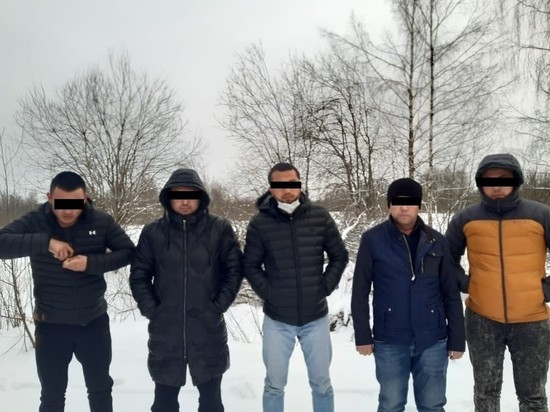 80 иностранцев-нелегалов поймали под Псковом