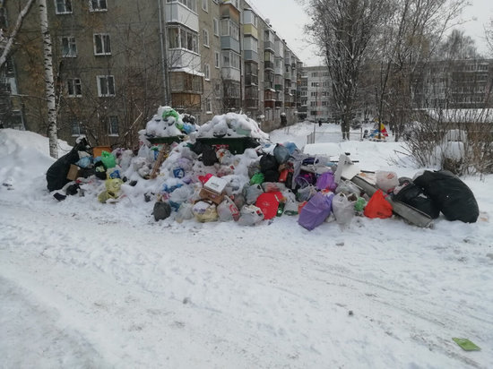 В правительстве Кировской области назвали причины мусорного коллапса