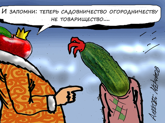 Жители Кубани всё чаще приспосабливают под ПМЖ дачи: проблемы и перспективы