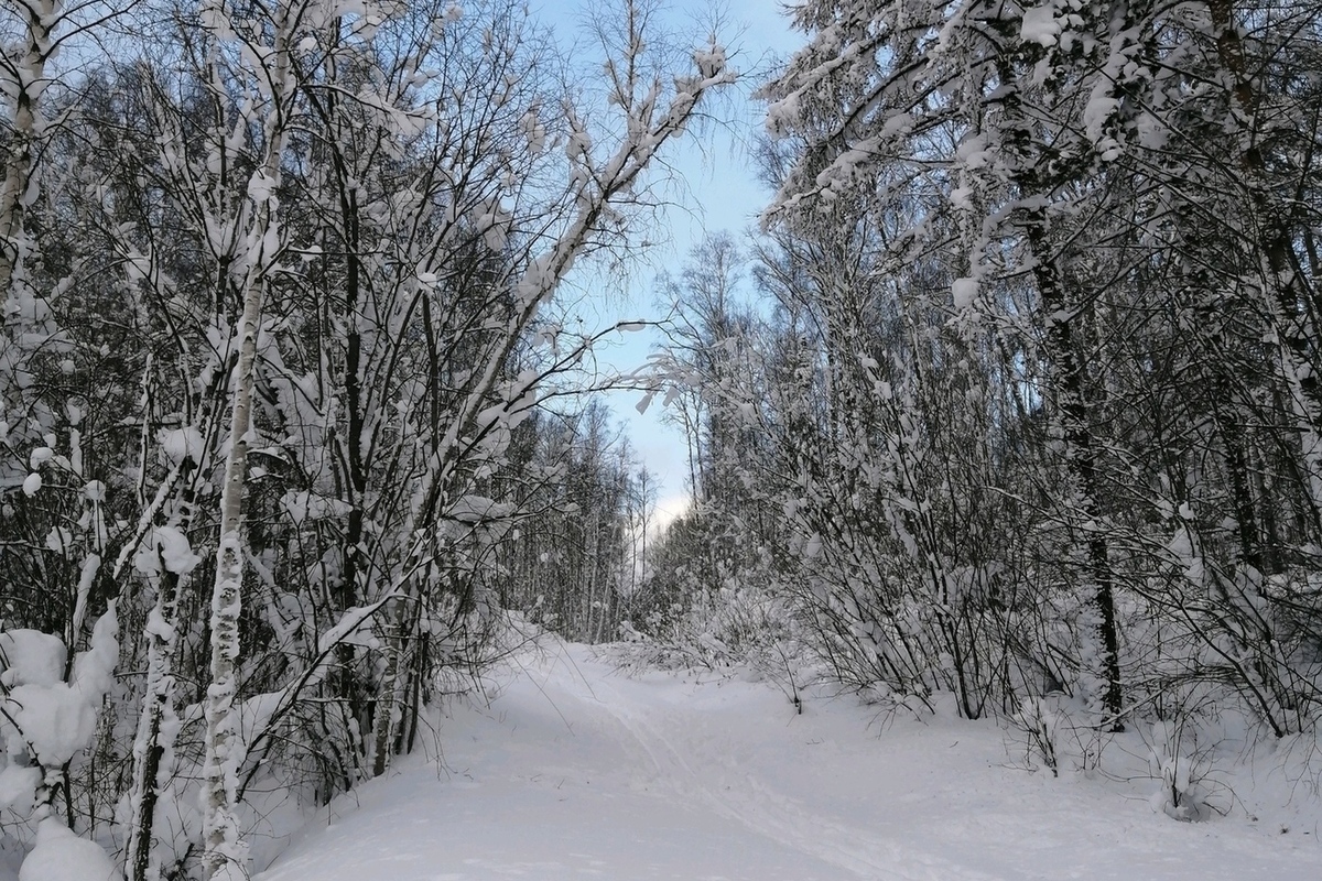 Прогноз погоды бурятия. Хоринский зима. Бурятский Гидрометцентр. Синоптики Бурятия. Синоптик Бурятия Пестерево.