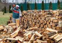 Вариант «зеленой энергетики» по-лукашенковски: президент Белоруссии считает целесообразным отапливать города, агрогородки и деревни дровами, а не природным газом