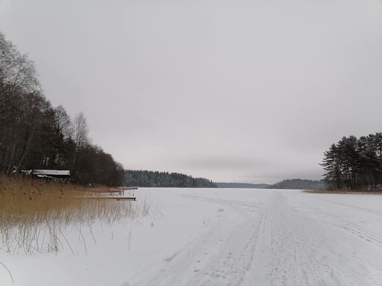 В четверг, 21 января, в Смоленской области резко потеплеет