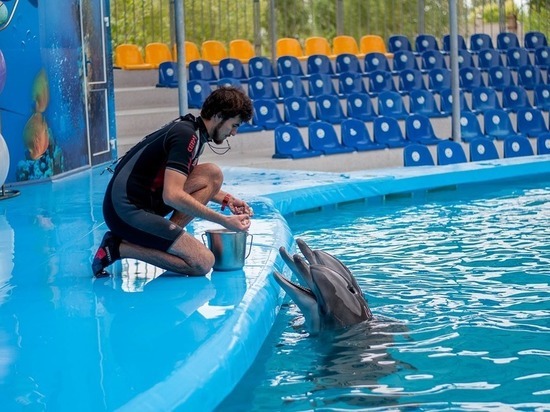 Смольный назвал причины, мешающие строительству дельфинария у «Академической»