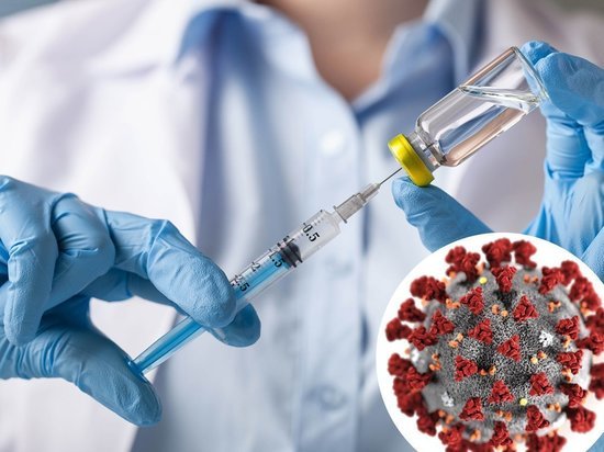 Накануне вакцину от коронавируса в Хакасии поставили более 550 человек