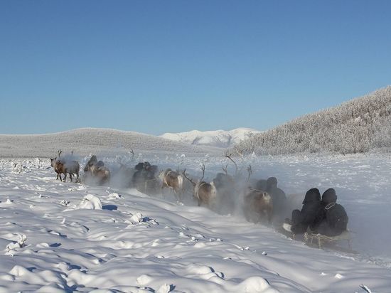 22 января на большей части Якутии ожидается холодная погода без осадков