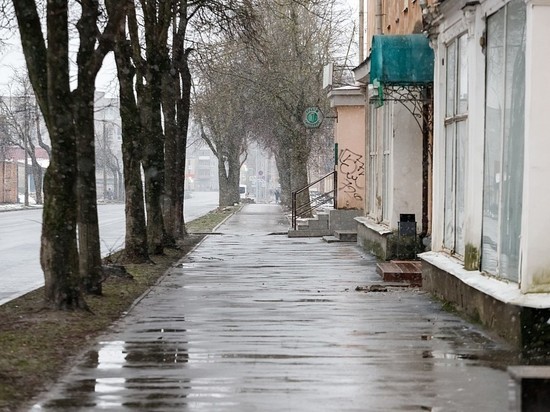 Гололед и мокрый снег прогнозируют псковские синоптики в субботу