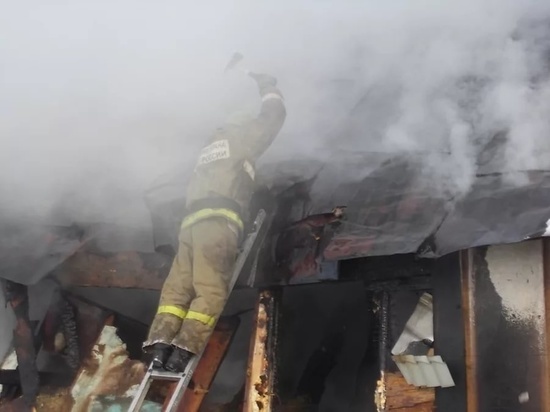 Бесхозная постройка сгорела в Новоржевском районе