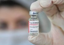 В пятницу, 22 января, стало известно, что Россия заключила договор с Венгрией о поставках вакцины от коронавируса