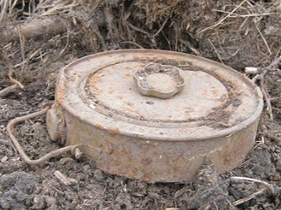 В Смоленской области обезвредили две противотанковые мины