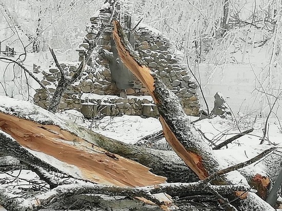 В Железноводске продолжают ликвидировать последствия деревопада