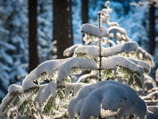 В Удмуртии 23 января местами ожидается небольшой снег