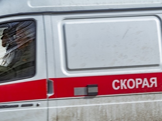 Пожилая пара отравилась газом в гараже под Новосибирском