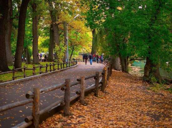 Благотворительный фонд «Будущее сейчас» поможет Костроме с обустройством городских парков