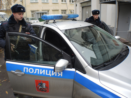 В Москве участницы Pussy Riot сбили полицейского при задержании