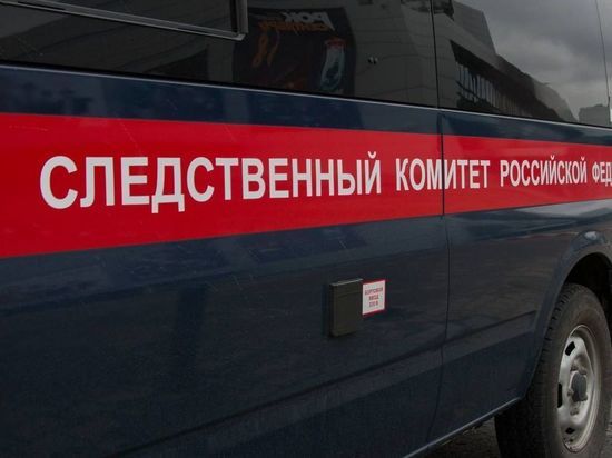 Следственный комитет расследует нападение на омских журналистов возле Левобережного рынка