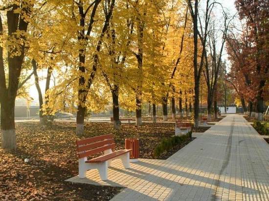 Жители Краснодара сами выберут зеленые зоны для благоустройства