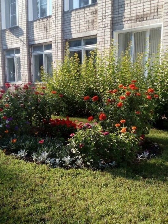 В кировской школе №65 стартовал проект «Юный садовод»