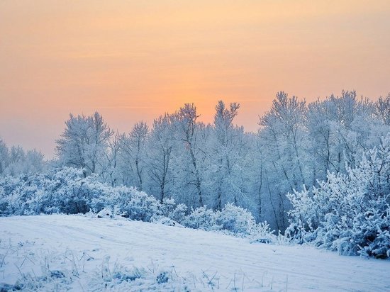 В Алтайский край возвращается тепло