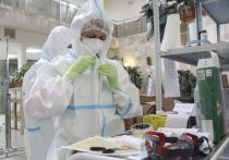 Глава Роспотребнадзора Анна Попова на заседании Координационного совета по борьбе с коронавирусной инфекцией сообщила, что исследования, проведённые в центре «Вектор» показывают, что иммунитет, полученный после болезни привычным в РФ штаммом коронавируса, остаётся «очень эффективен» и противодействует британскому штамму