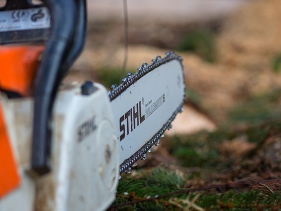 В Смоленске нанятый работник обчистил соседа своего нанимателя