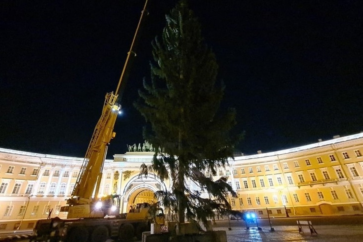 Эрмитаж санкт петербург в новогодние праздники 2024. Елка в Санкт-Петербурге 2020. Елка в Питере 2020. Главная елка Санкт-Петербурга 2021. Елка СПБ 2020 Дворцовая.