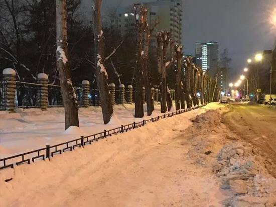 Депутаты раскритиковали уборку снега в Екатеринбурге, а мэрия говорит: «Сколько пива, столько песен»