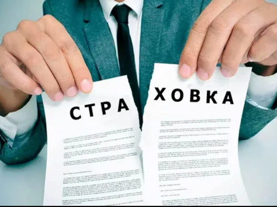Страховка от страховки: как воспользоваться «периодом охлаждения»