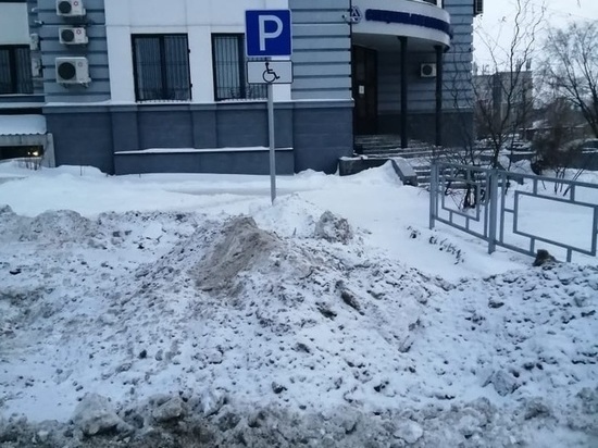 В Барнауле ОНФ раскритиковал чиновников за качество уборки снега с улиц