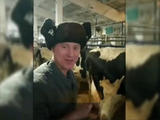 2 миллиона лайков собрали в Tik-Tok ветеринар и дояр из Удмуртии