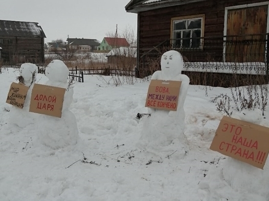 Северяне оценили действия холмогорской полиции по пикету снеговиков