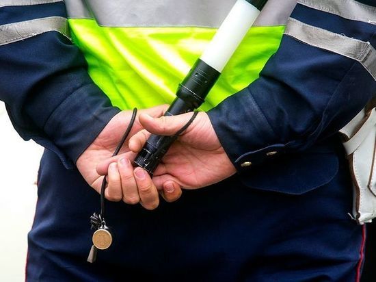 28 января рязанские Госавтоинспекторы проводят рейд по пешеходам