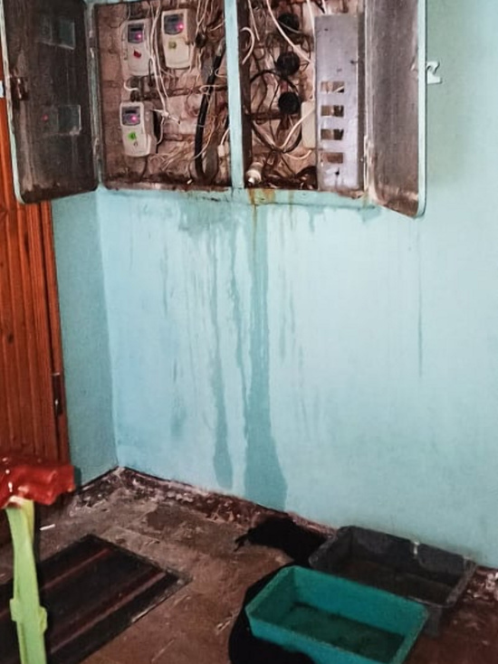 В ЖЭУ нам попытались объяснить ситуацию