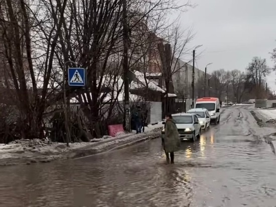 Рязанка Ангелина Левакова сняла видео о затопленных пешеходных переходах