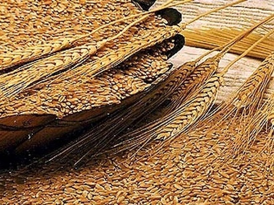 В Калмыкии выявлено зерно с недостоверными документами