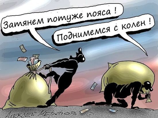 Учредитель УК потратила деньги, собранные с жильцов,  на свою собаку