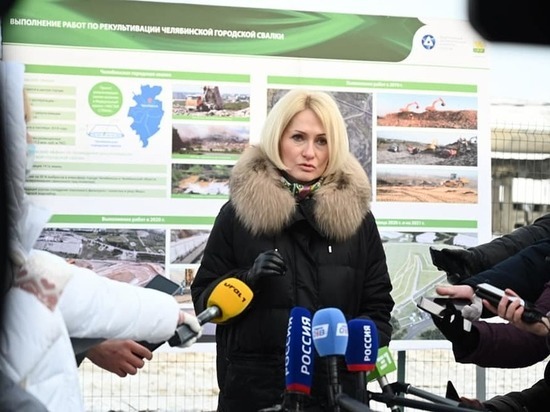 В Челябинске вице-премьер РФ заявила о 48 городах страны с экологическими проблемами