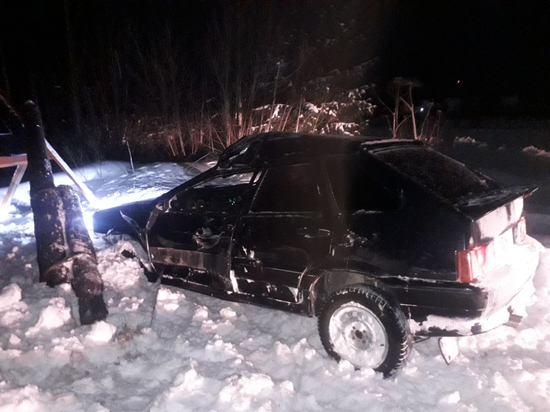 В Каргопольском районе водитель легковушки погиб после въезда в столб