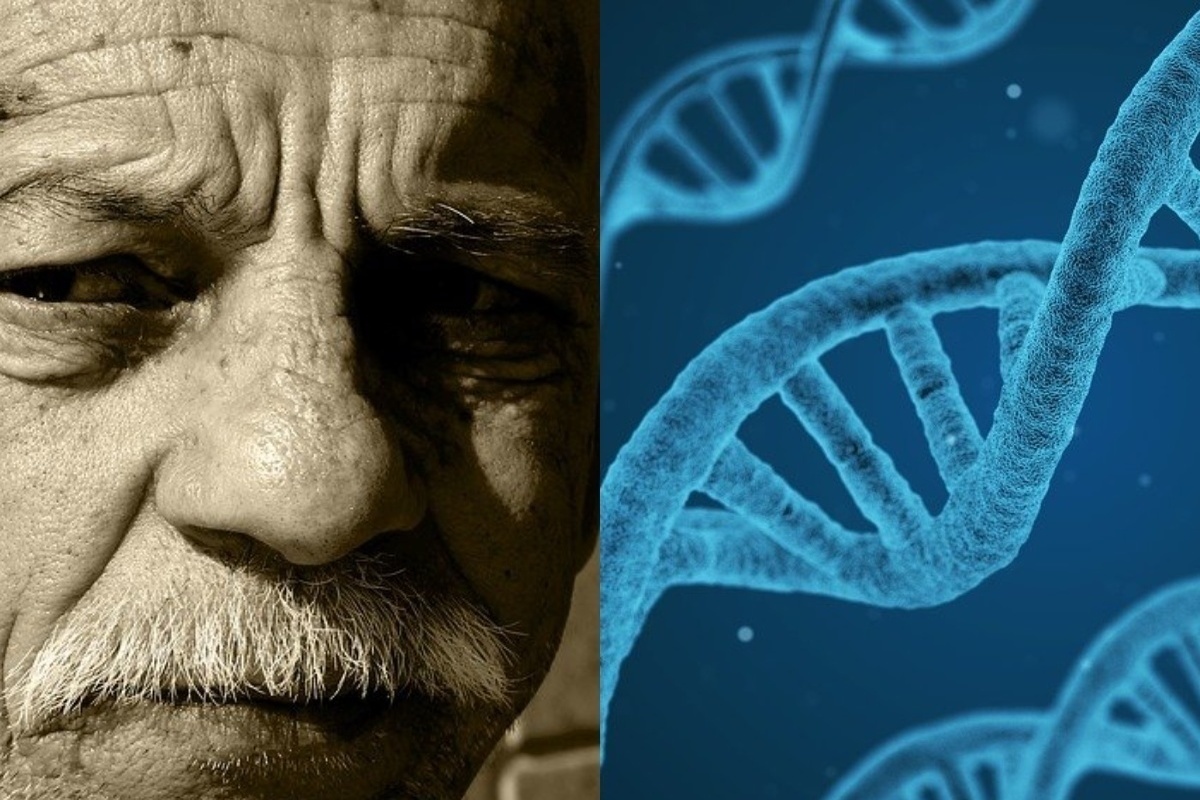 Старение долголетие. Генетика старения. Гены старения. Ген старости. Старение ДНК человека.