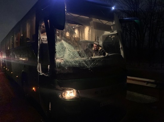 Прокуратура начала проверку после ДТП с рейсовым автобусом под Рязанью