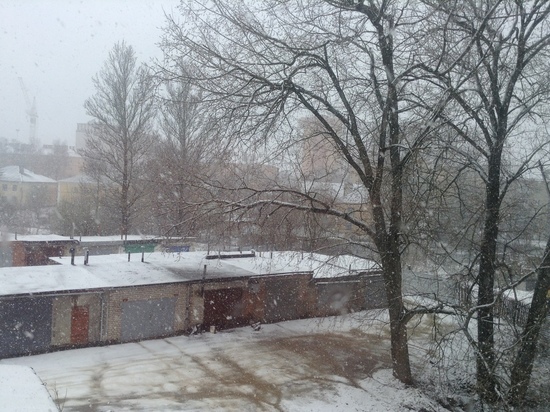 Погода в Смоленской области 31 января пасмурная, небо подсыплет снега