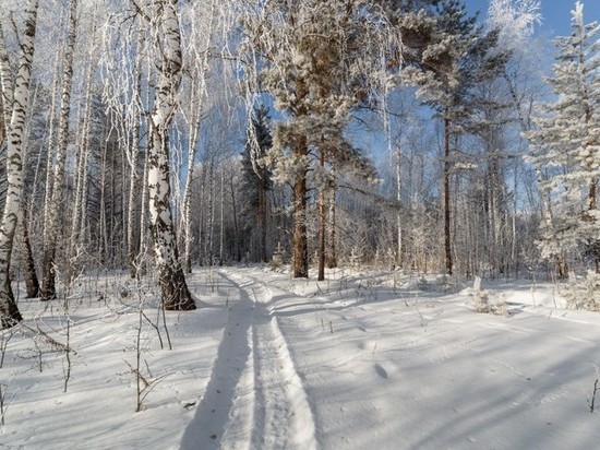 Январь прощается с Новосибирском легким морозцем