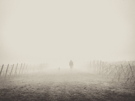 КПВВ "Еленовка" откроется в первый день февраля