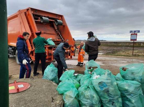 Краснодарцы очистили берег реки Кубань в рамках экологической акции