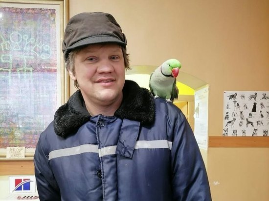 Из ветклиники в Рязани улетел говорящий попугай