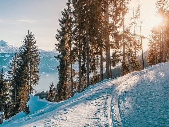 Серьёзное потепление обещают в Кузбассе к середине недели