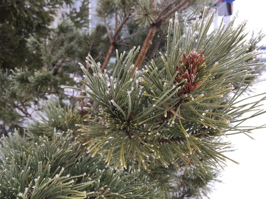 Саратовцев ждет не самая приятная погода